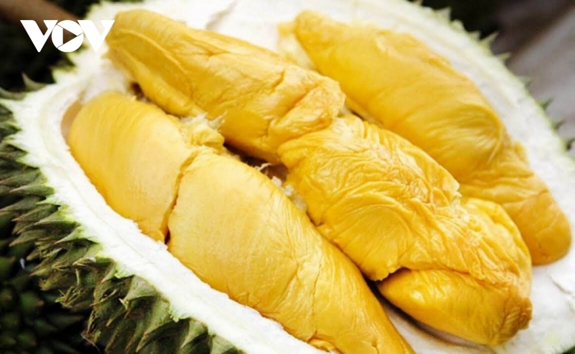 Xuất khẩu nông nghiệp trong 5 tháng bứt tốc, đạt gần 31 tỷ USD